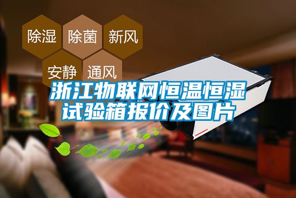 浙江物联网恒温恒湿试验箱报价及图片