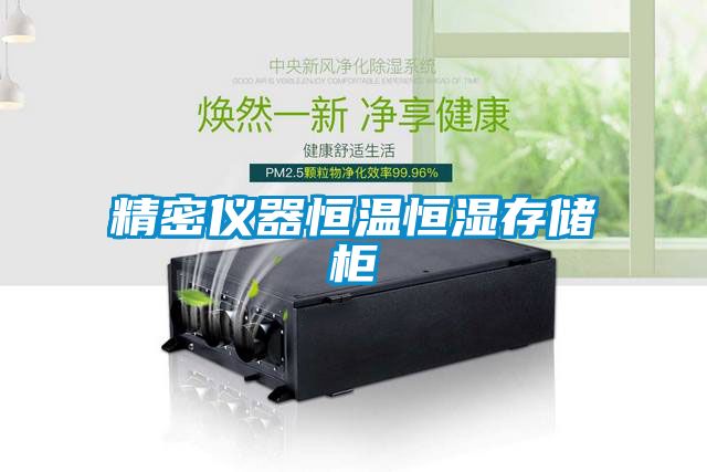 精密仪器恒温恒湿存储柜