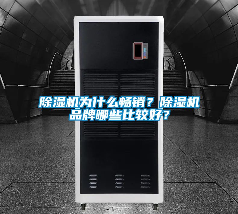 除湿机为什么畅销？除湿机品牌哪些比较好？