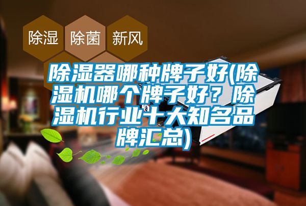 除湿器哪种牌子好(除湿机哪个牌子好？除湿机行业十大知名品牌汇总)
