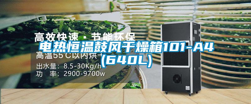 电热恒温鼓风干燥箱101-A4(640L)