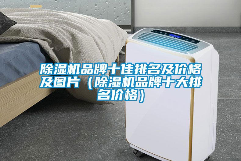 除湿机品牌十佳排名及价格及图片（除湿机品牌十大排名价格）