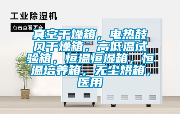真空干燥箱，电热鼓风干燥箱，高低温试验箱，恒温恒湿箱，恒温培养箱，无尘烘箱，医用