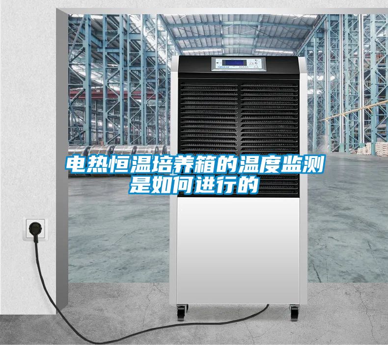 电热恒温培养箱的温度监测是如何进行的
