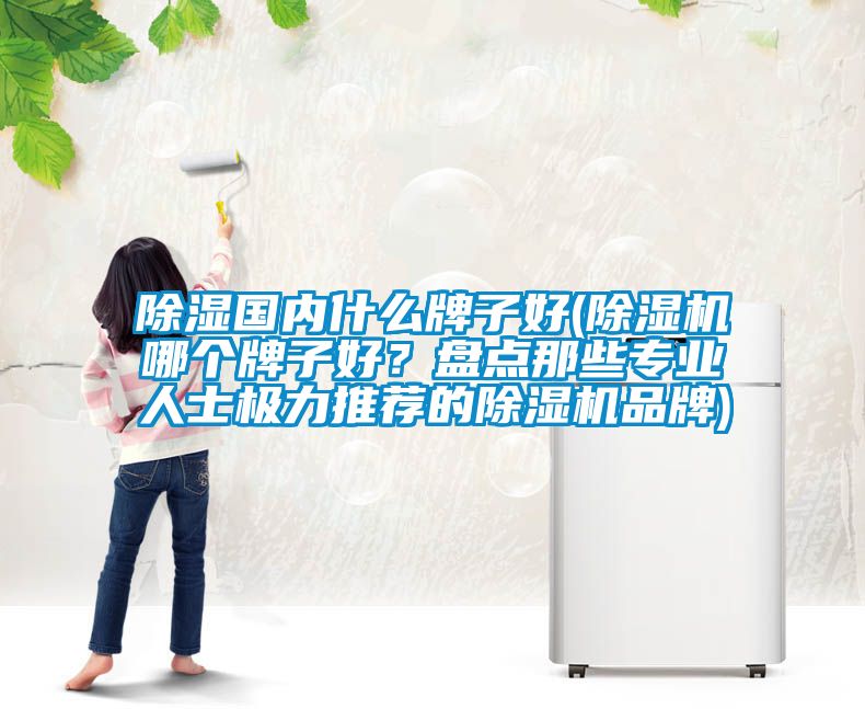 除湿国内什么牌子好(除湿机哪个牌子好？盘点那些专业人士极力推荐的除湿机品牌)