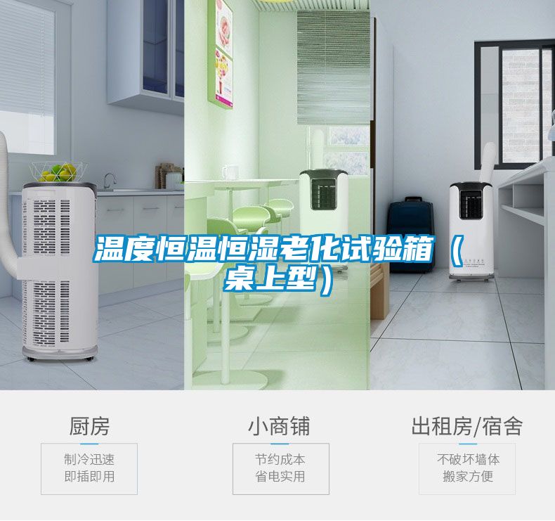 温度恒温恒湿老化试验箱（桌上型）