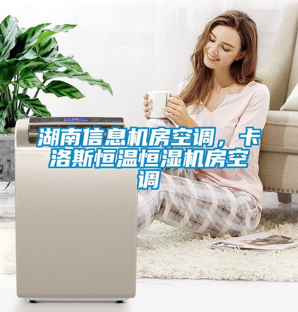 湖南信息机房空调，卡洛斯恒温恒湿机房空调