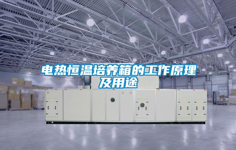 电热恒温培养箱的工作原理及用途