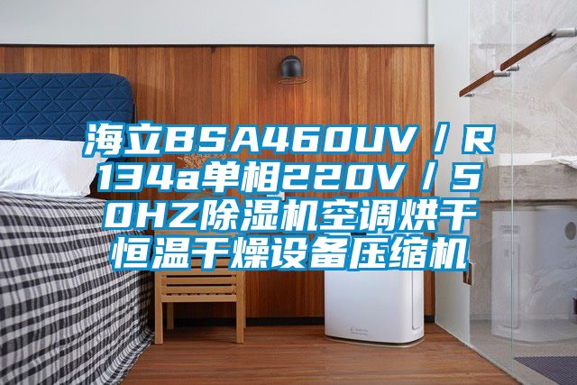 海立BSA460UV/R134a单相220V/50HZ除湿机空调烘干恒温干燥设备压缩机