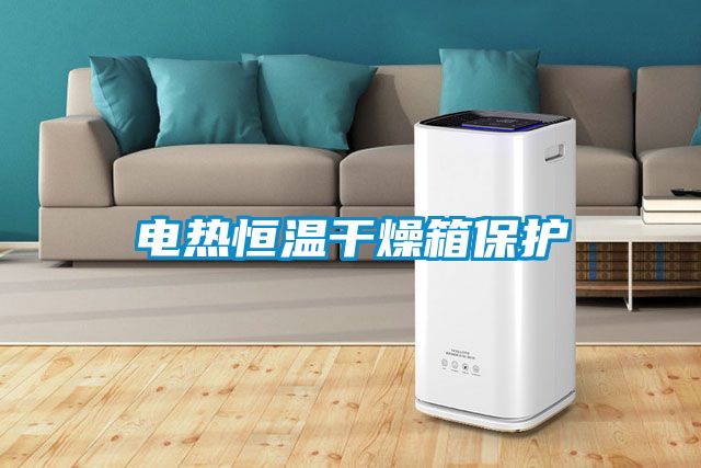 电热恒温干燥箱?；?/></p>
						    <p style=
