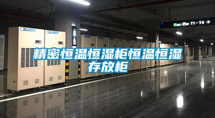 精密恒温恒湿柜恒温恒湿存放柜