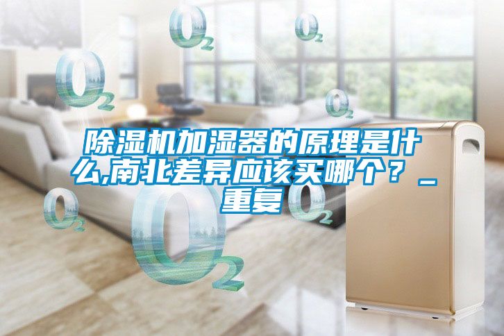 除湿机加湿器的原理是什么,南北差异应该买哪个？_重复