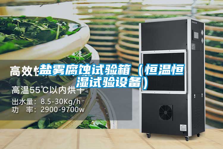 盐雾腐蚀试验箱（恒温恒湿试验设备）