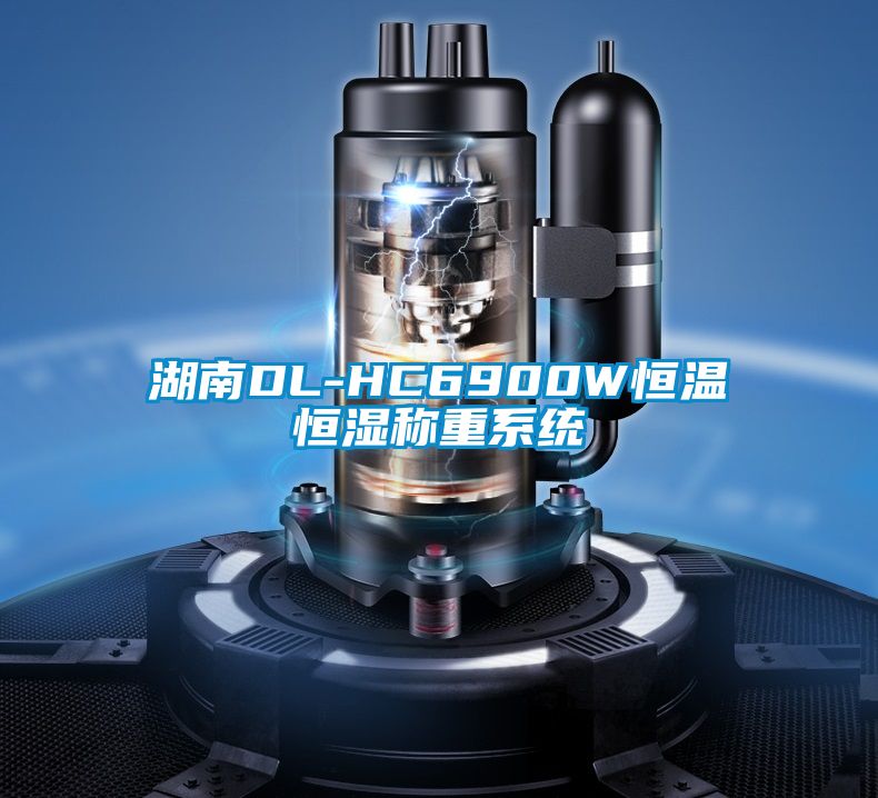 湖南DL-HC6900W恒温恒湿称重系统