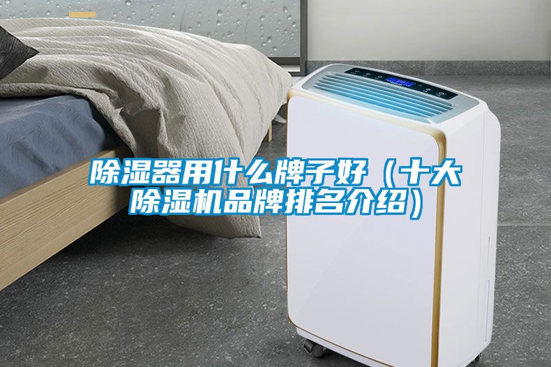 除湿器用什么牌子好（十大除湿机品牌排名介绍）