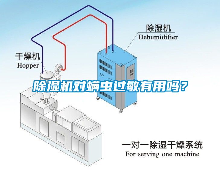 除湿机对螨虫过敏有用吗?