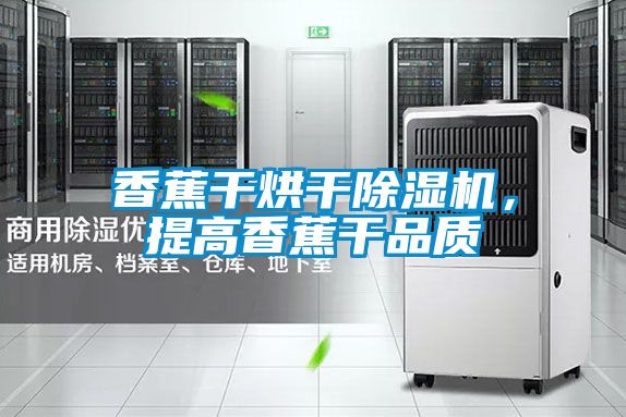 香蕉干烘干除湿机，提高香蕉干品质