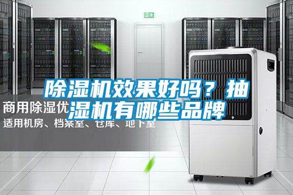 除湿机效果好吗？抽湿机有哪些品牌