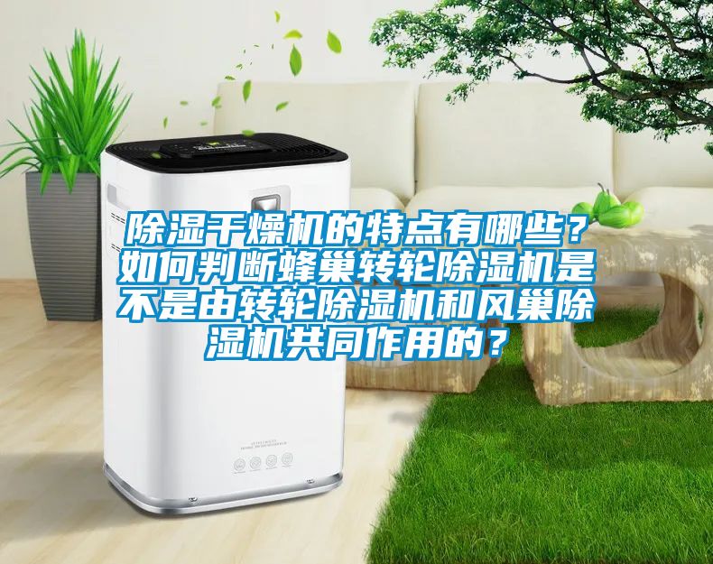 除湿干燥机的特点有哪些？如何判断蜂巢转轮除湿机是不是由转轮除湿机和风巢除湿机共同作用的？