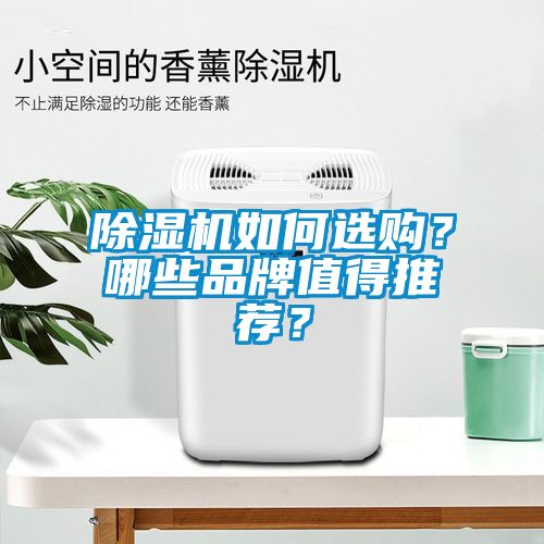 除湿机如何选购？哪些品牌值得推荐？