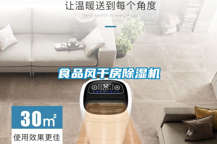 食品风干房除湿机