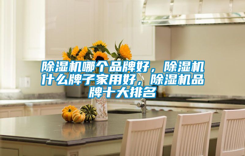 除湿机哪个品牌好，除湿机什么牌子家用好，除湿机品牌十大排名