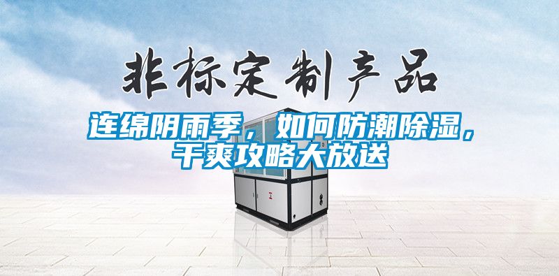 连绵阴雨季，如何防潮除湿，干爽攻略大放送