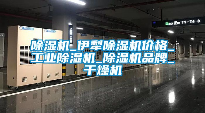 除湿机_伊犁除湿机价格_工业除湿机_除湿机品牌_干燥机