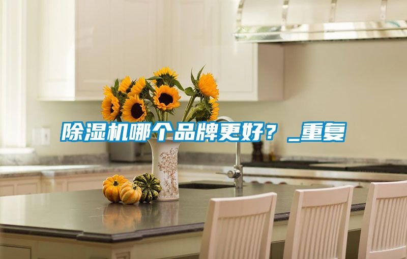 除湿机哪个品牌更好?_重复