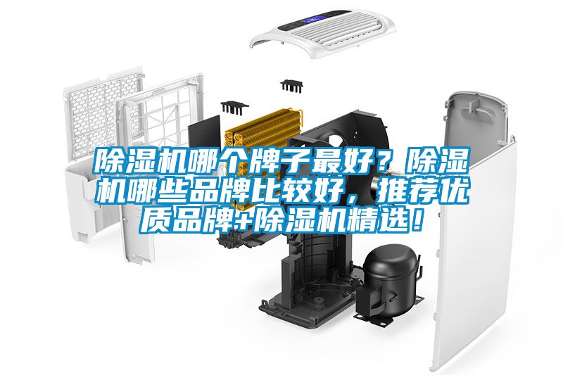 除湿机哪个牌子最好？除湿机哪些品牌比较好，推荐优质品牌+除湿机精选！