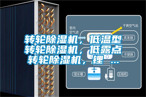 转轮除湿机，低温型转轮除湿机，低露点转轮除湿机，锂 ...