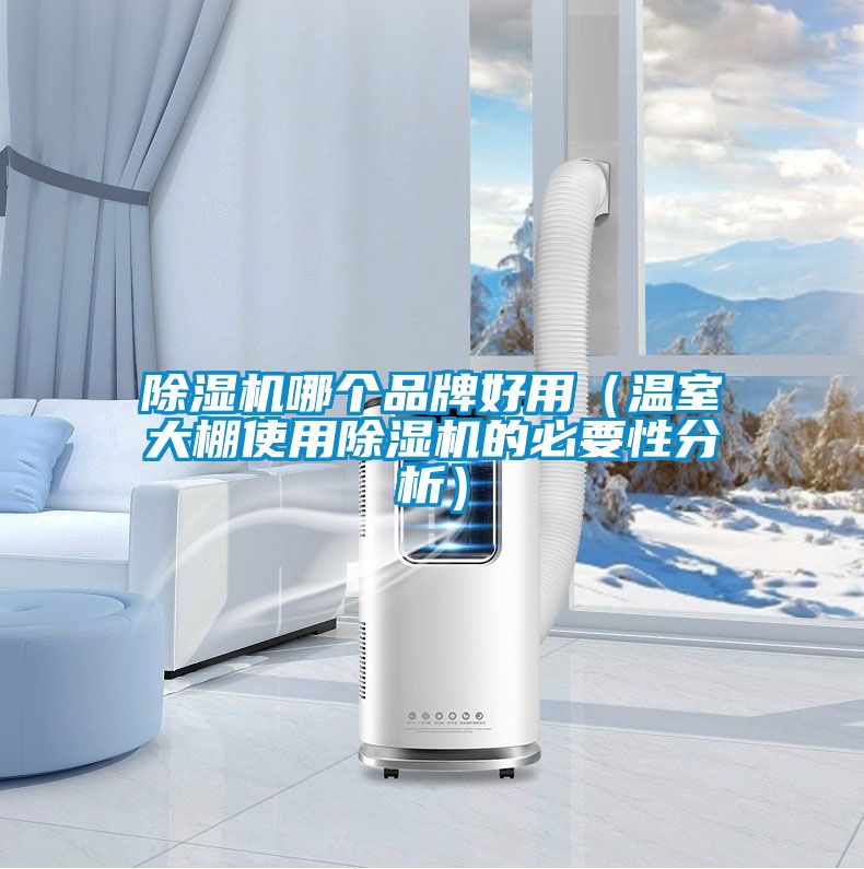 除湿机哪个品牌好用（温室大棚使用除湿机的必要性分析）