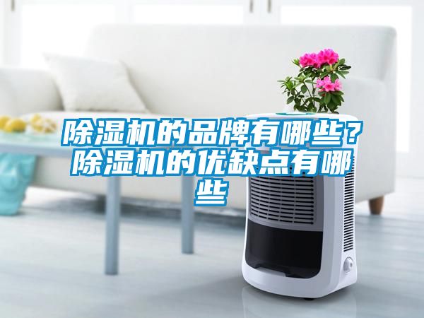 除湿机的品牌有哪些？除湿机的优缺点有哪些