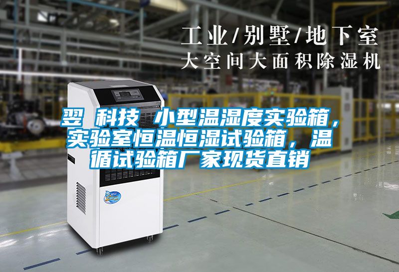 翌昇科技 小型温湿度实验箱，实验室恒温恒湿试验箱，温循试验箱厂家现货直销