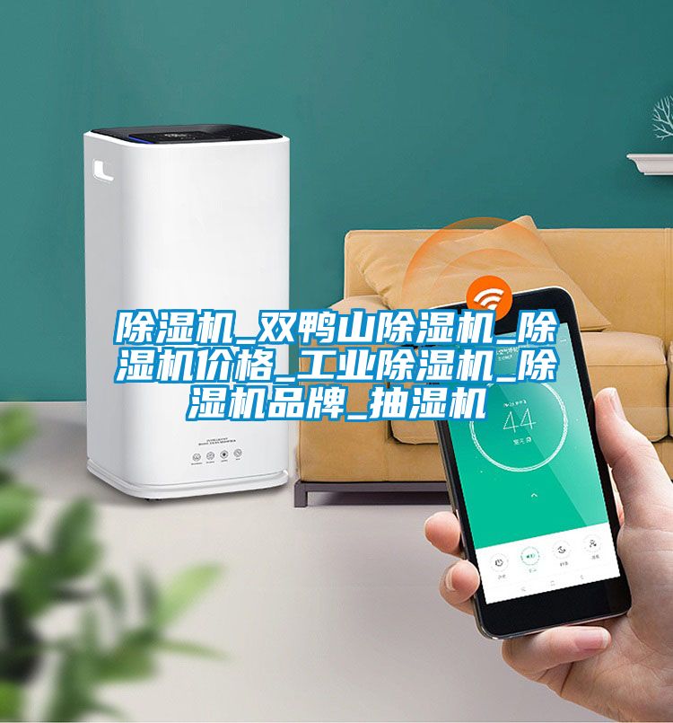 除湿机_双鸭山除湿机_除湿机价格_工业除湿机_除湿机品牌_抽湿机