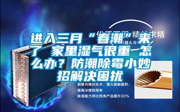进入三月“春潮”来了 家里湿气很重 怎么办？防潮除霉小妙招解决困扰