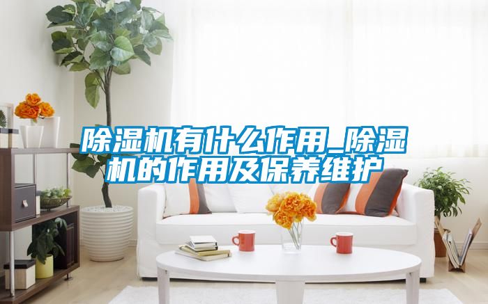 除湿机有什么作用_除湿机的作用及保养维护
