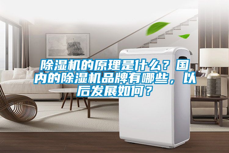 除湿机的原理是什么？国内的除湿机品牌有哪些，以后发展如何？