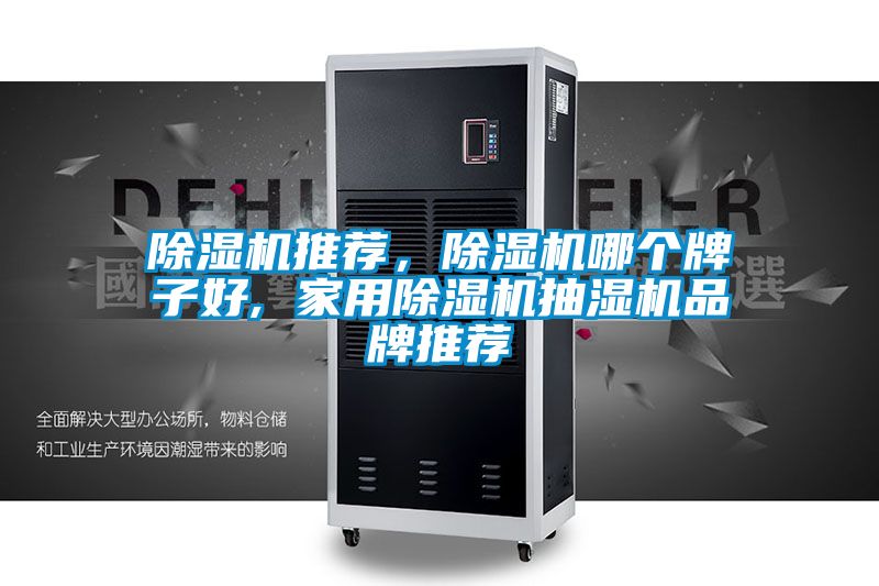 除湿机推荐，除湿机哪个牌子好, 家用除湿机抽湿机品牌推荐