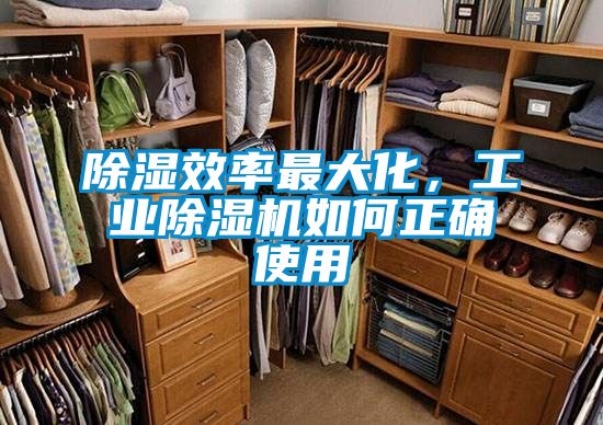 除湿效率最大化，工业除湿机如何正确使用