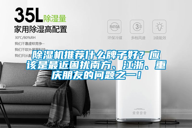 除湿机推荐什么牌子好？应该是最近困扰南方、江浙、重庆朋友的问题之一！