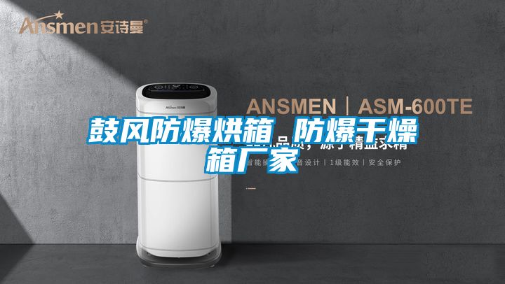 鼓风防爆烘箱 防爆干燥箱厂家