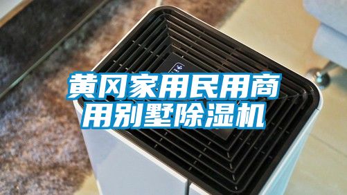 黄冈家用民用商用别墅除湿机