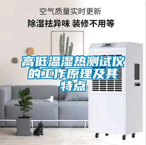 高低温湿热测试仪的工作原理及其特点