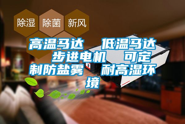 高温马达  低温马达  步进电机  可定制防盐雾  耐高湿环境