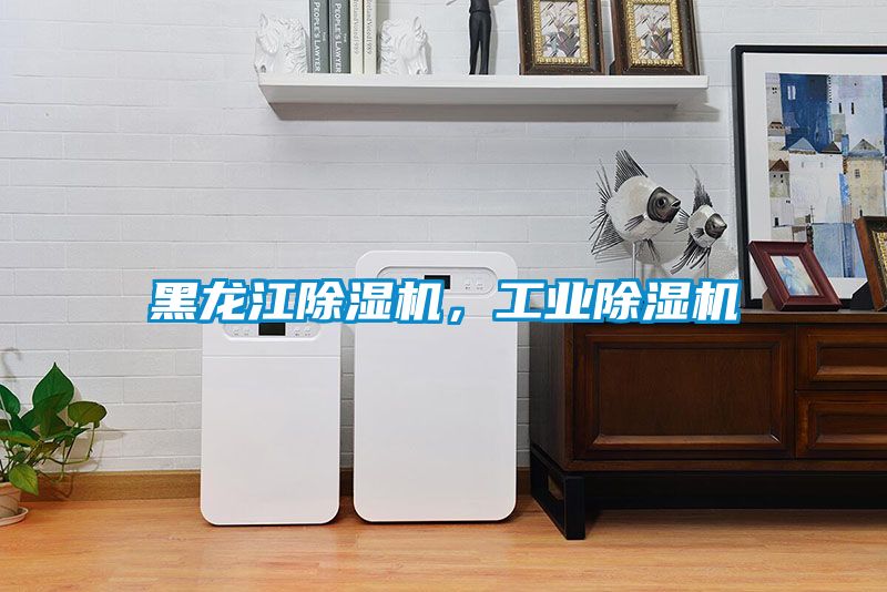 黑龙江除湿机，工业除湿机