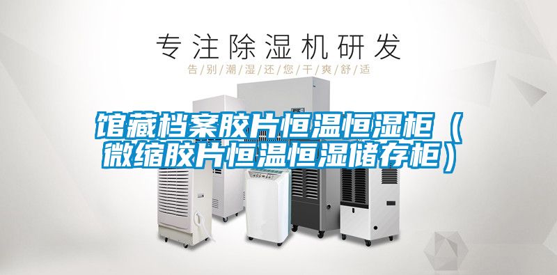 馆藏档案胶片恒温恒湿柜(微缩胶片恒温恒湿储存柜)