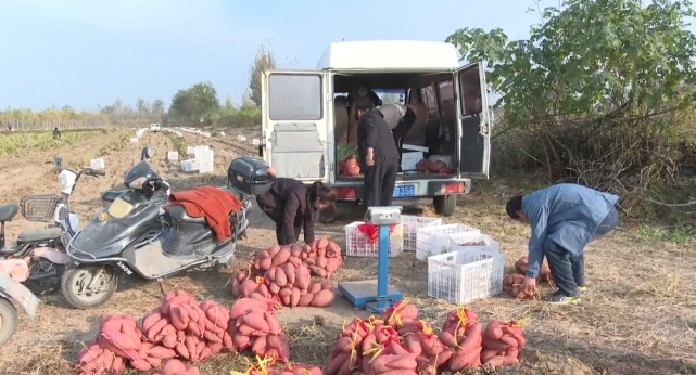 ?河北省石家庄市鹿泉区黄壁庄镇红薯农产品烘干机